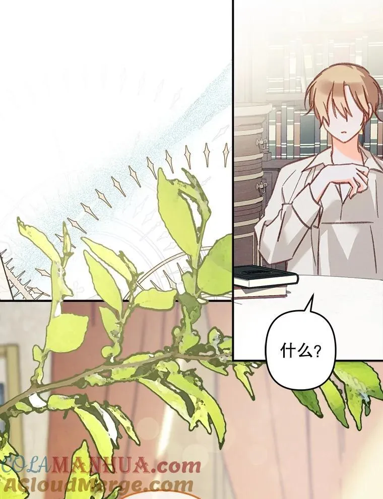 第372页