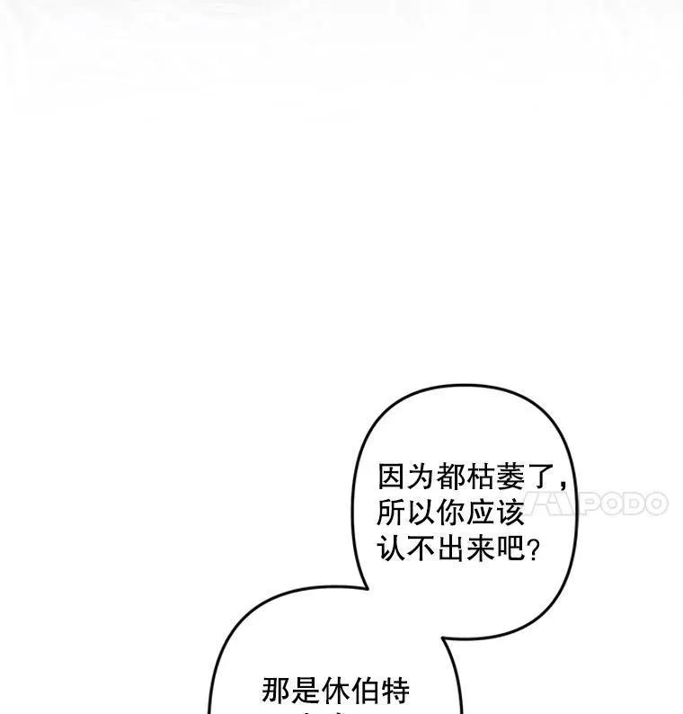 第255页