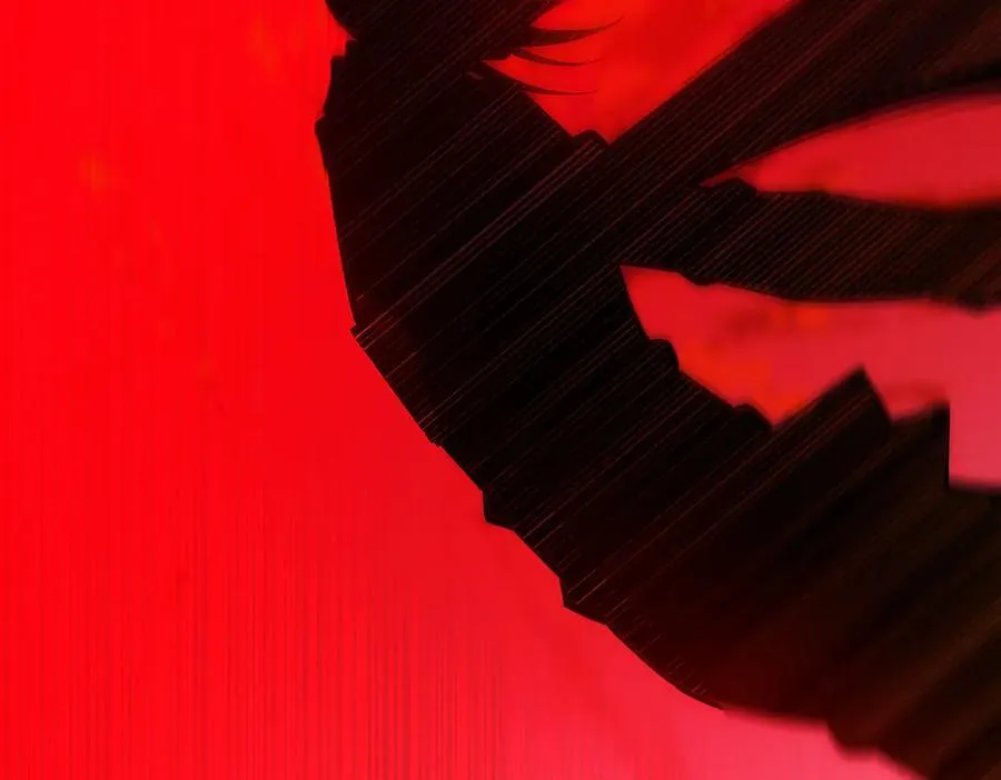 第204页