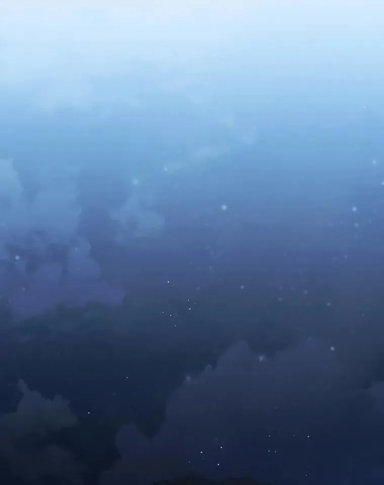 第312页