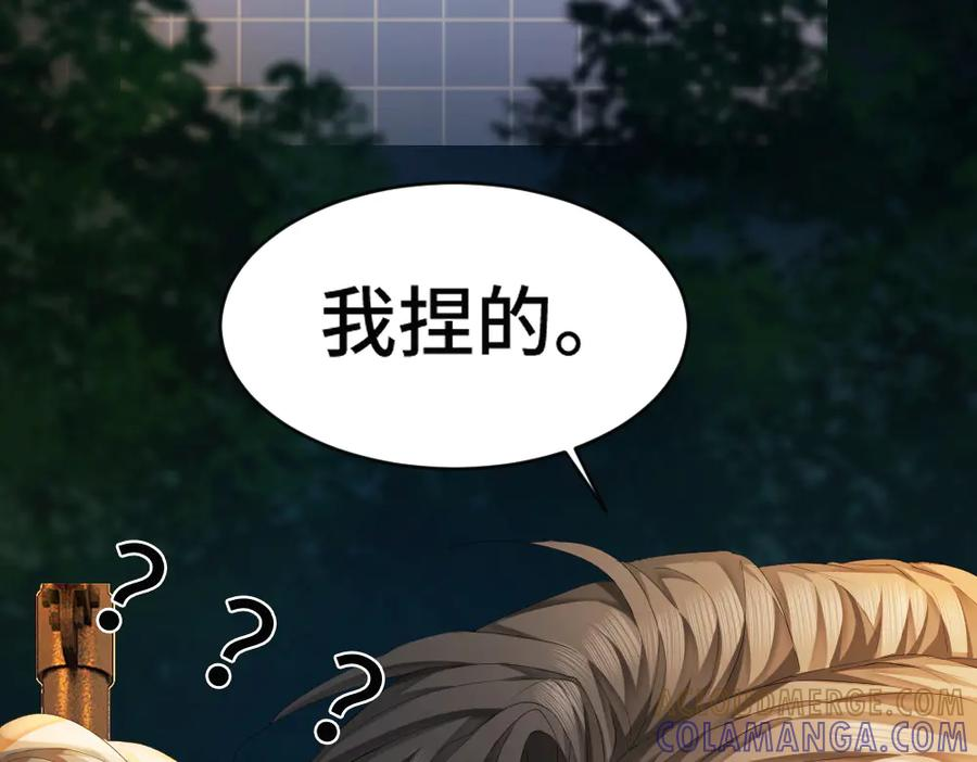 第204页