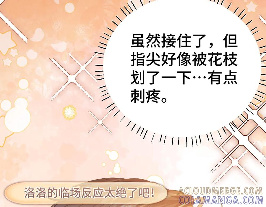 第204页