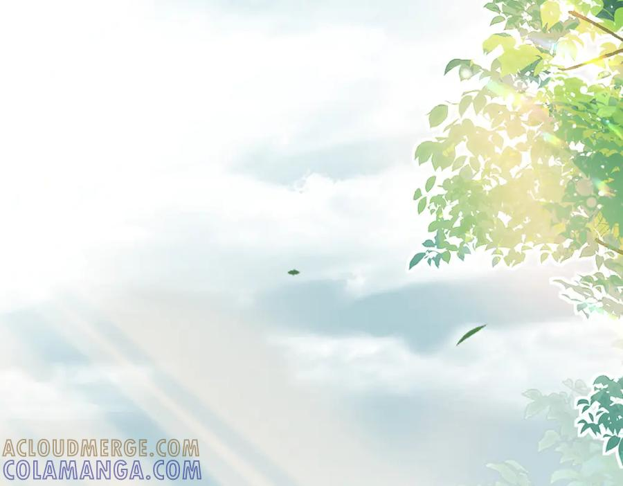 第264页