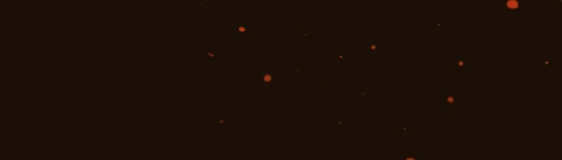 第252页