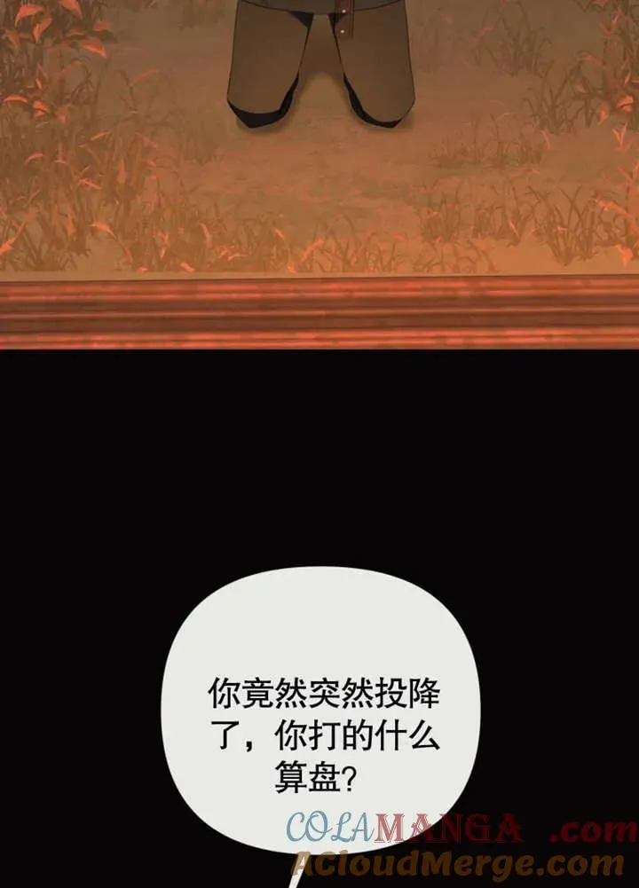 第228页