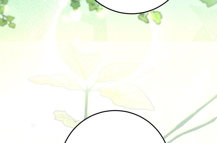 第576页