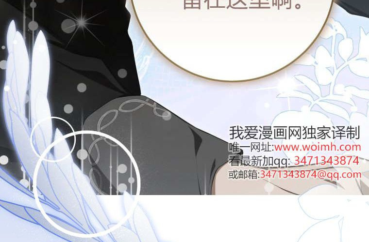 第585页