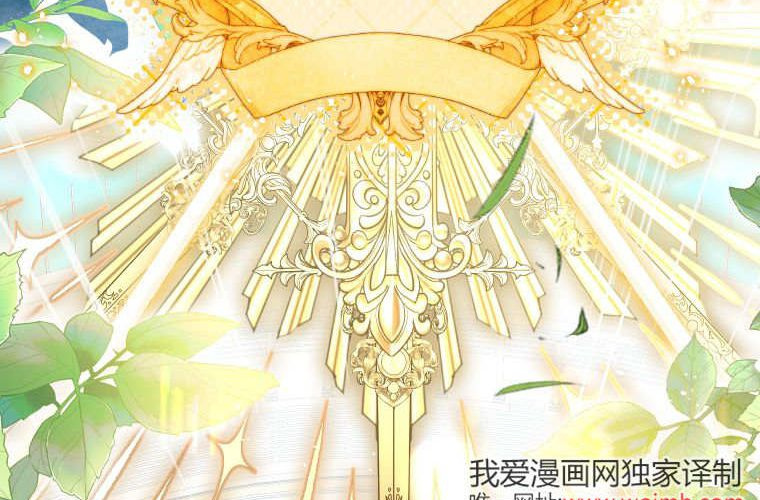 第231页