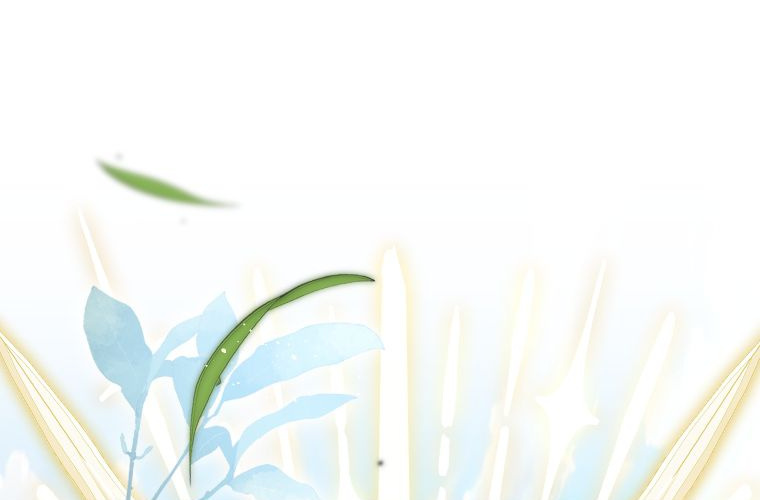 第225页
