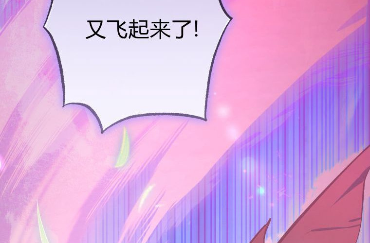 第426页