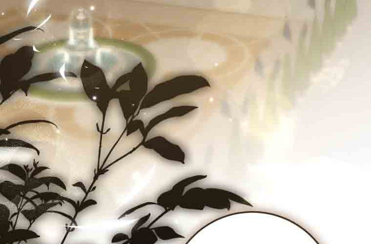 第246页