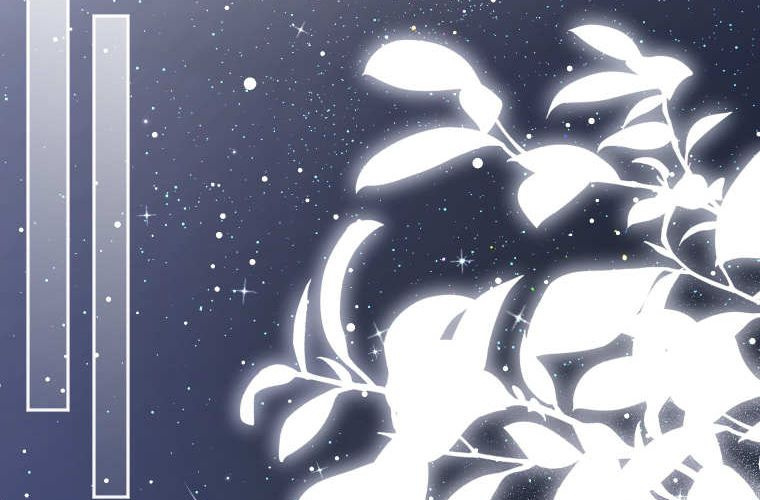 第516页