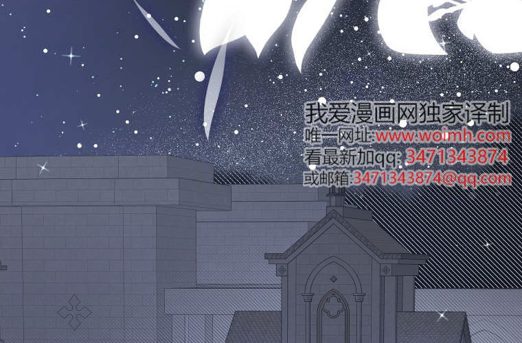 第519页