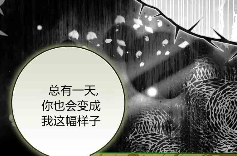 第261页
