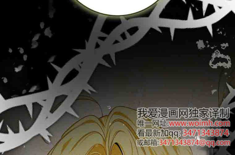 第243页