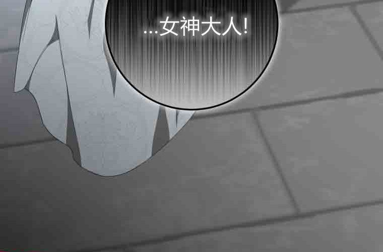 第567页