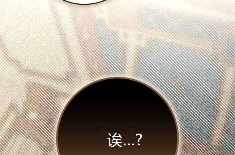 第264页