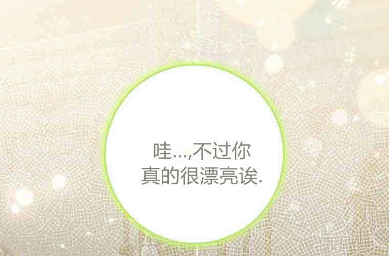 第333页