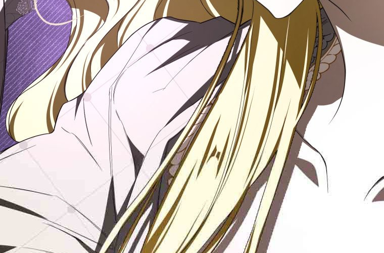 第558页