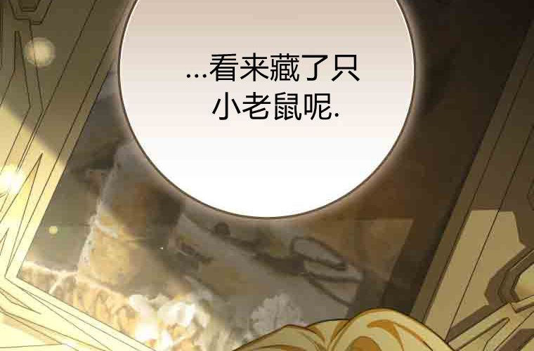 第336页