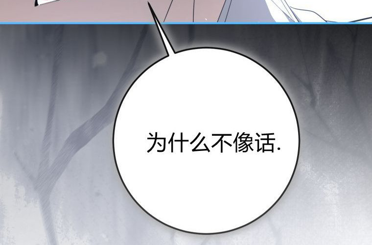 第582页
