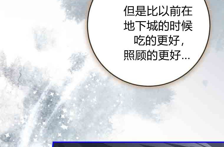 第246页