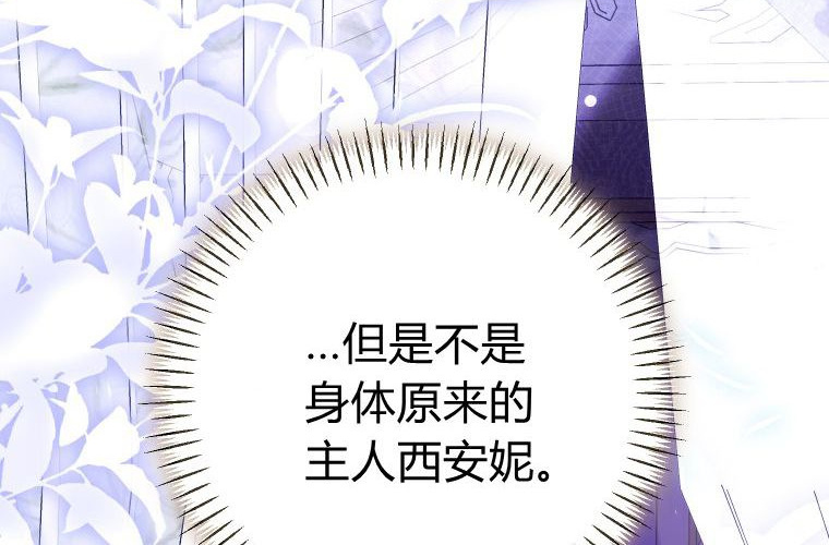 第537页