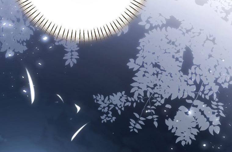 第732页
