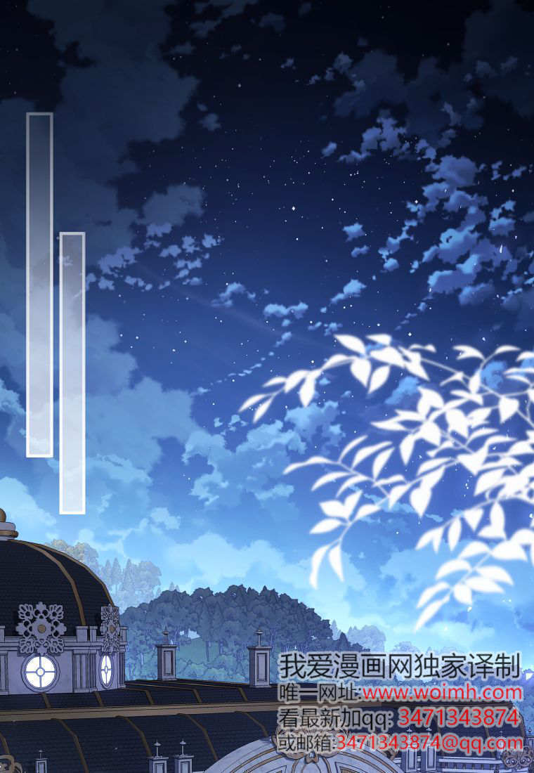 第333页