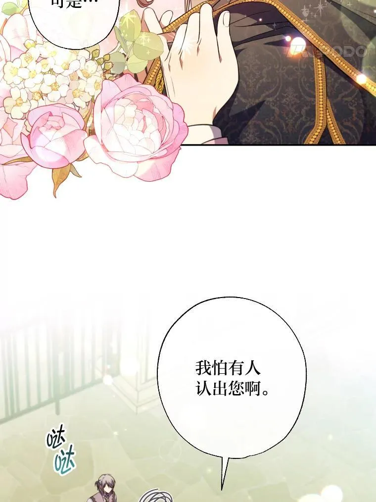 第204页