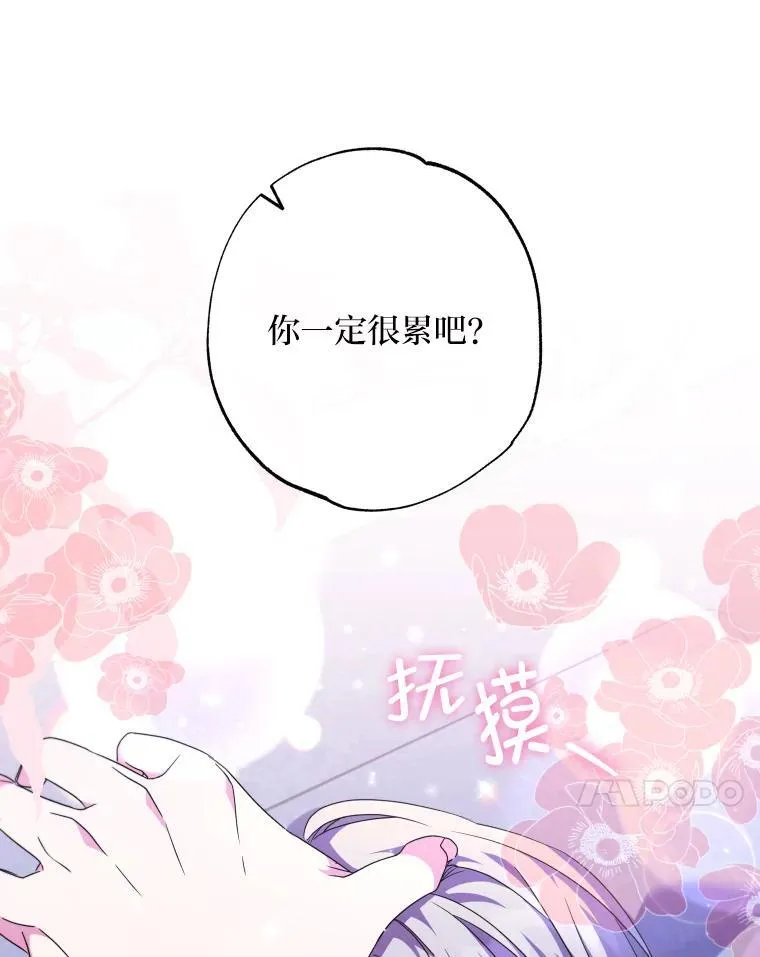 第204页