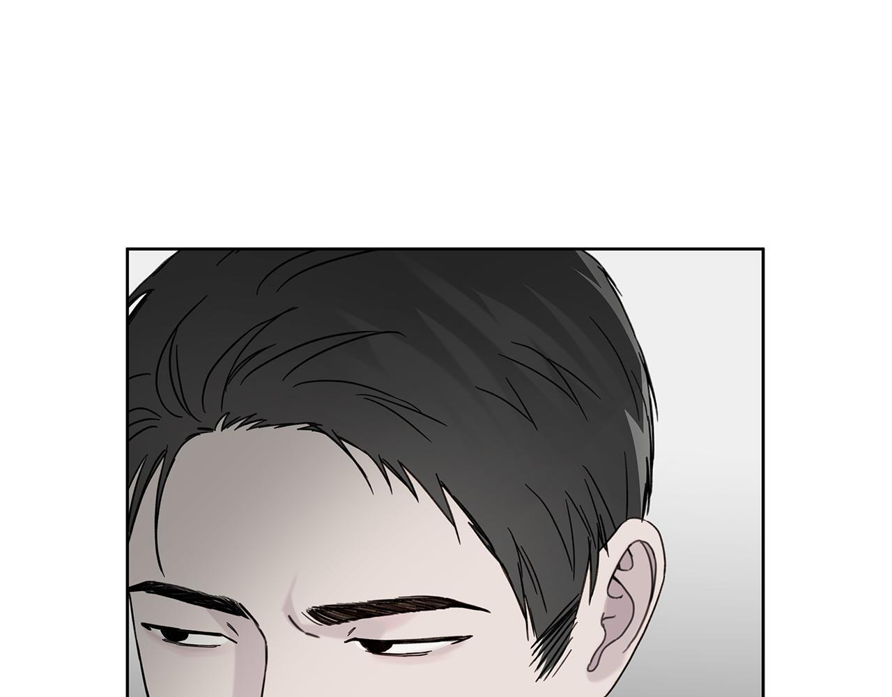 第543页
