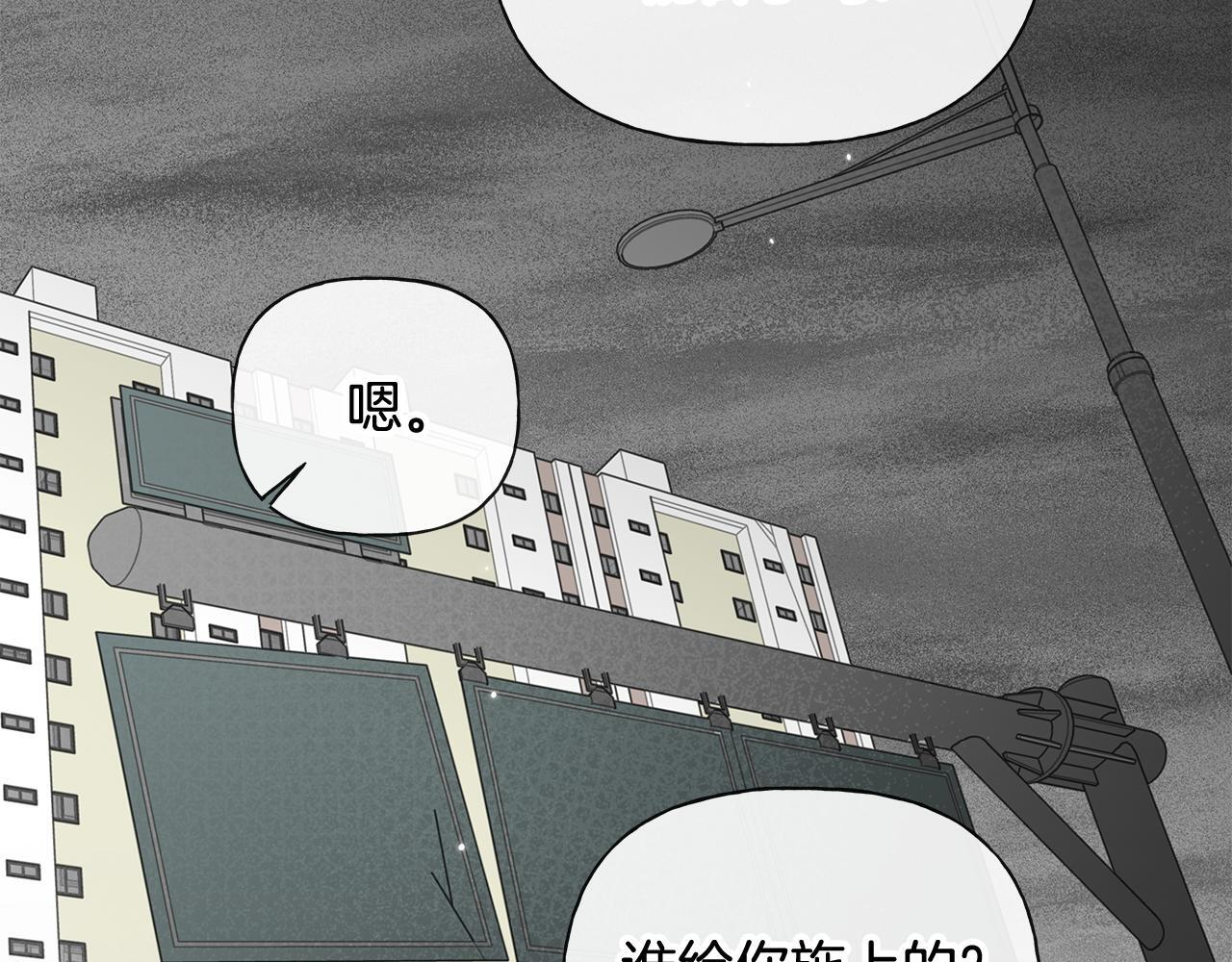 第204页