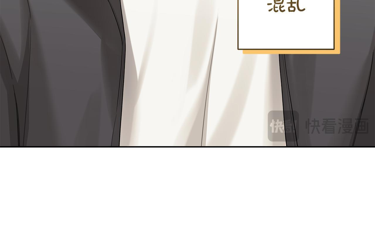 第441页
