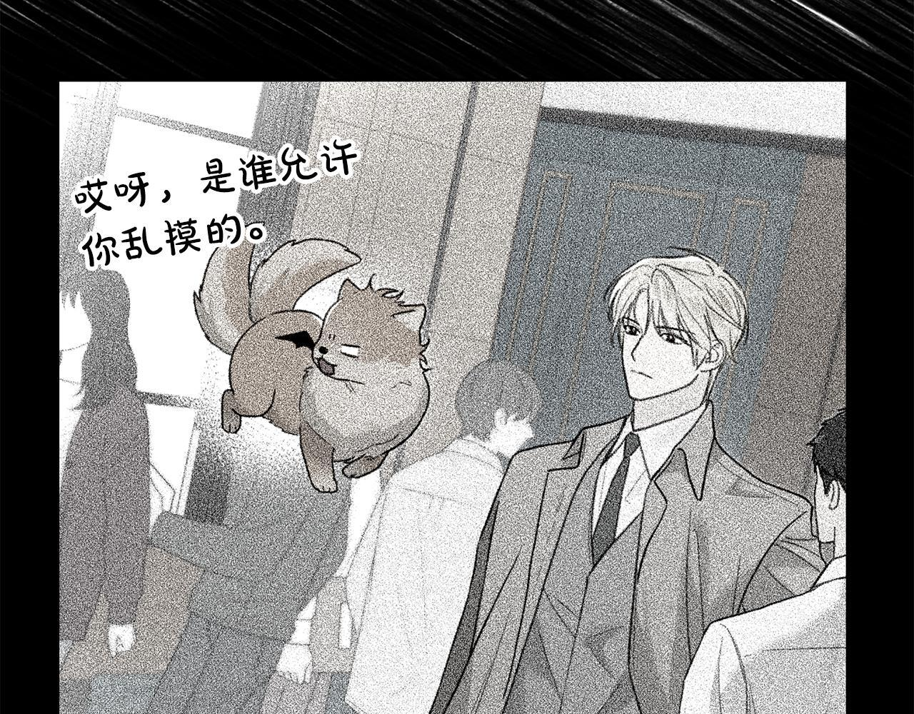 第333页