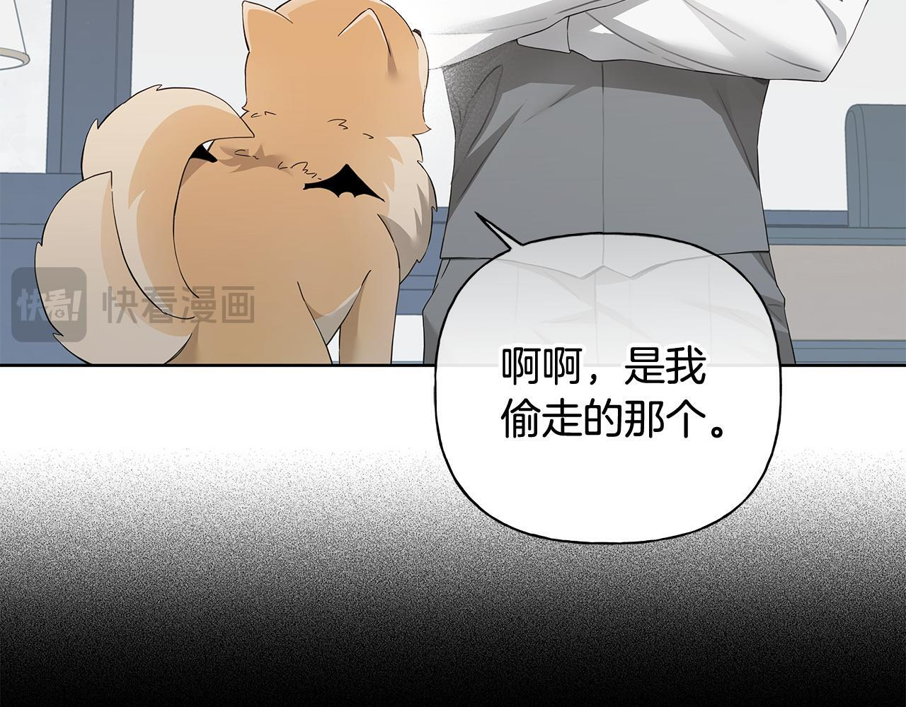 第213页
