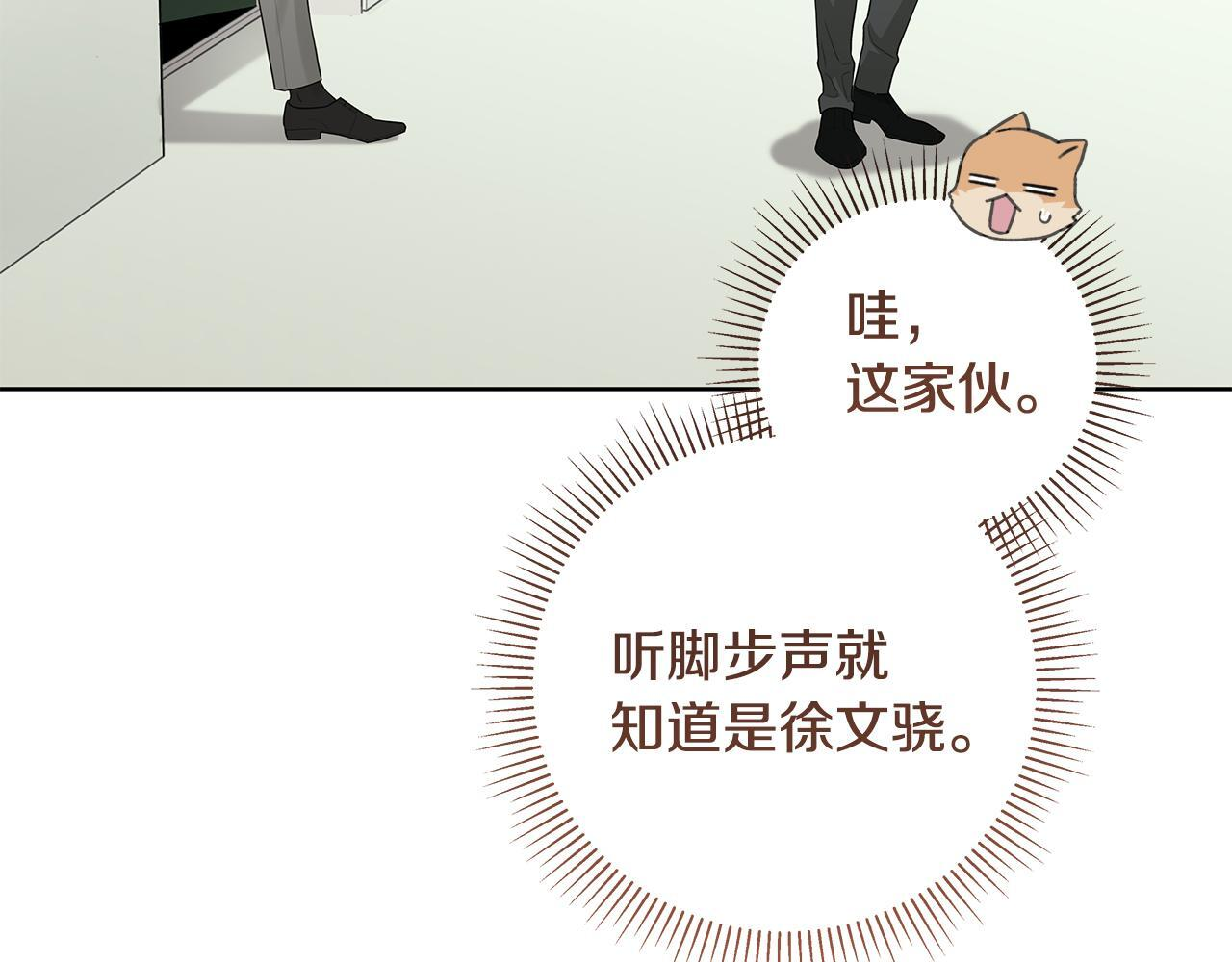 第294页