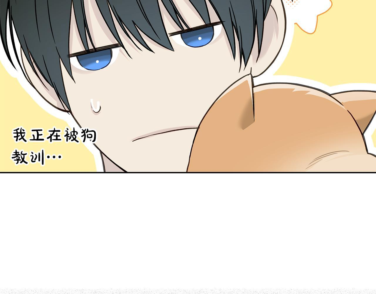 第258页