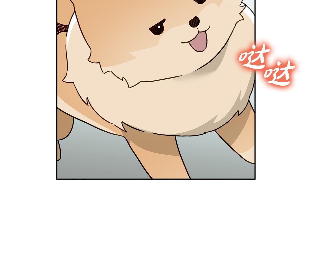 第306页