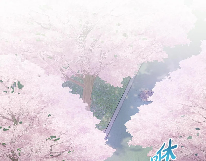第273页