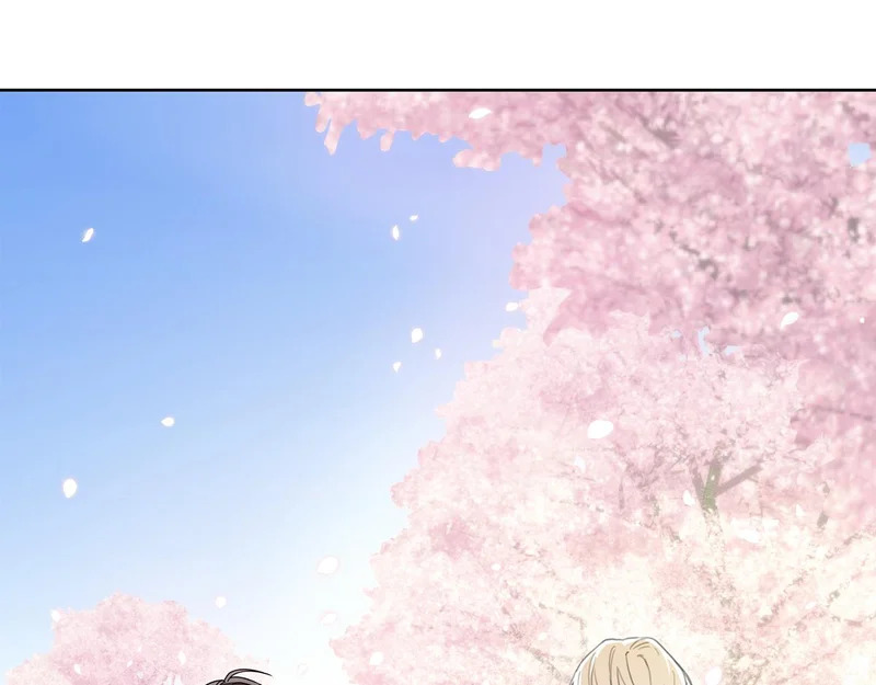 第441页