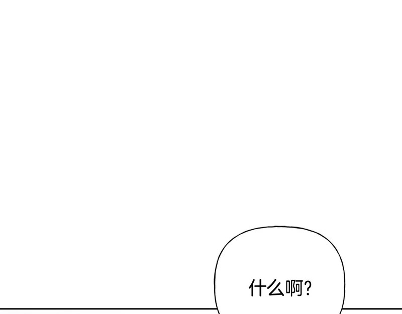第333页