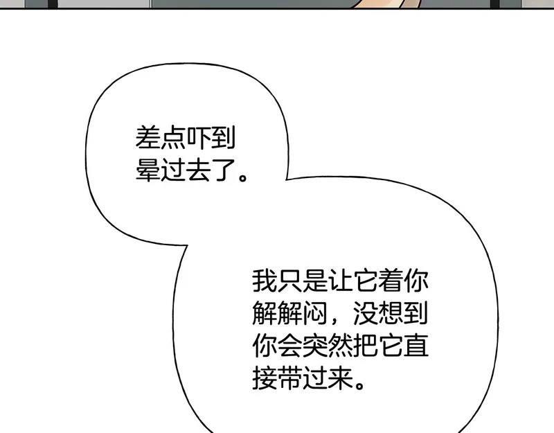 第216页