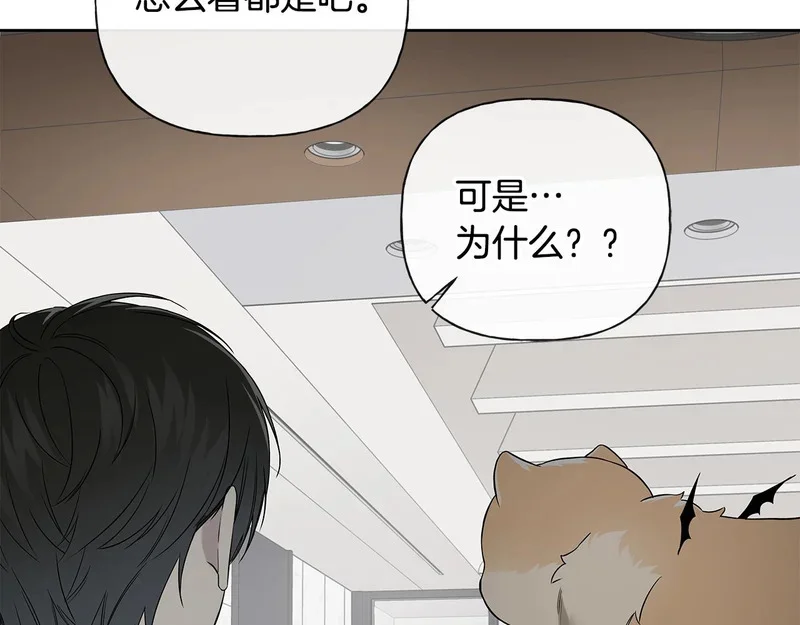 第531页