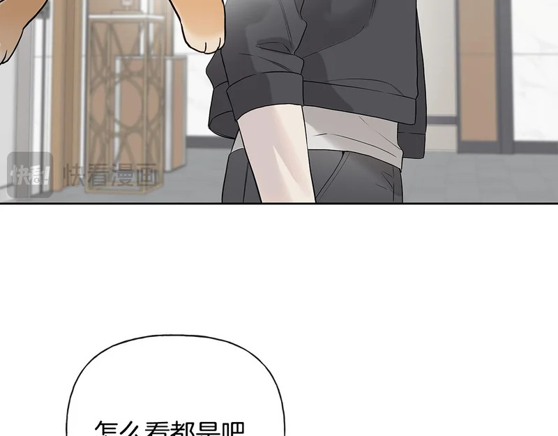 第528页