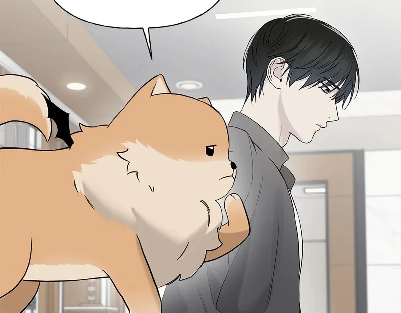 第519页