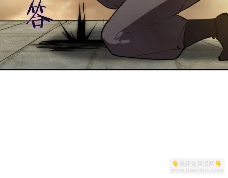 第237页
