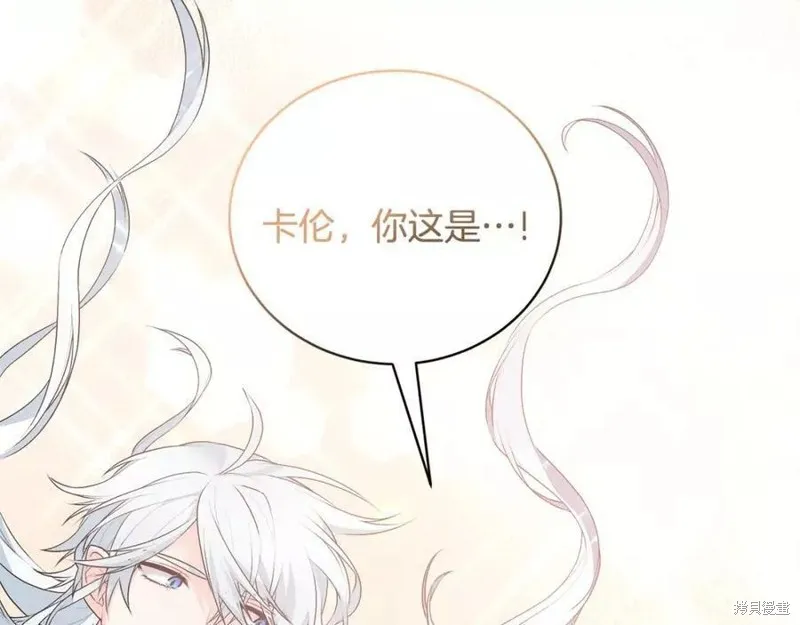 第447页
