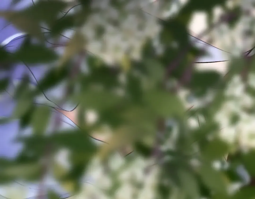 第387页