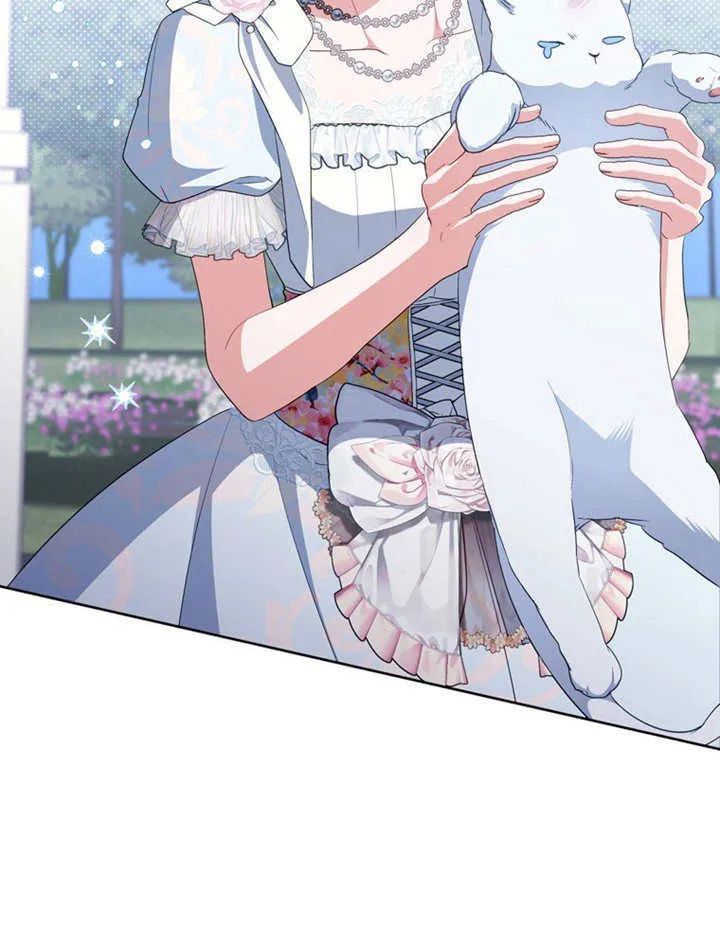 第246页